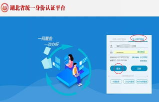 湖北政務(wù)服務(wù)網(wǎng)衛(wèi)生行政許可在線申請操作指南
